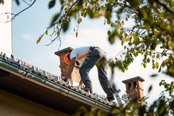 Best Gutter Installation and Repair  in Springs, NY