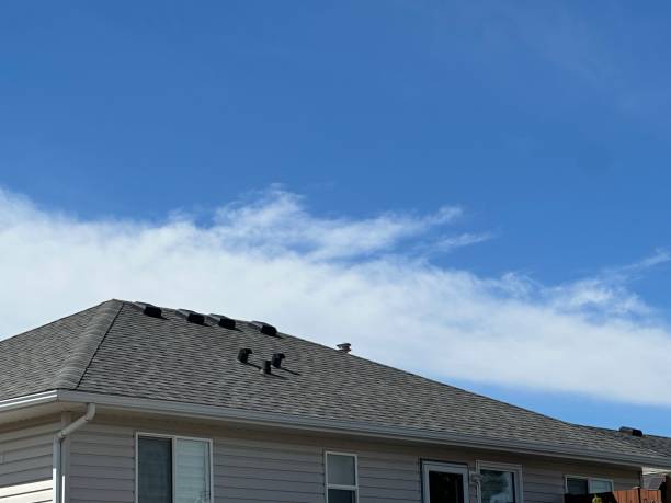 Professional Roofing Service in Springs, NY